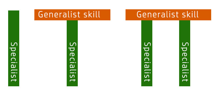 Different skillset shapes